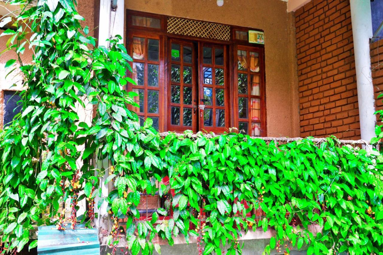 Ella Green Cottages Buitenkant foto