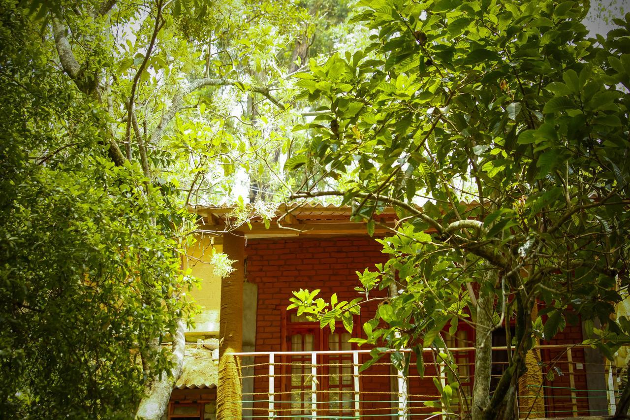 Ella Green Cottages Buitenkant foto