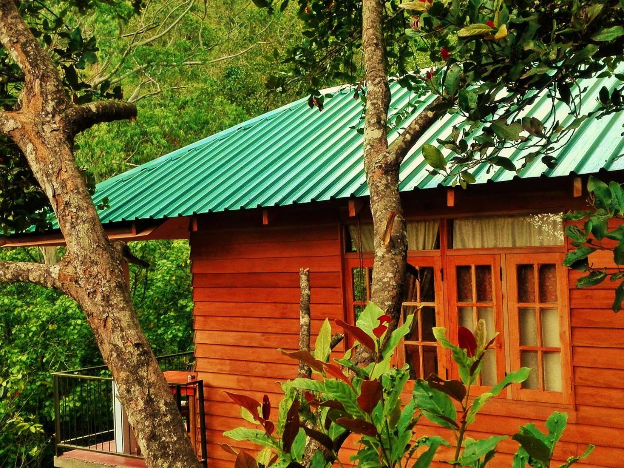 Ella Green Cottages Buitenkant foto